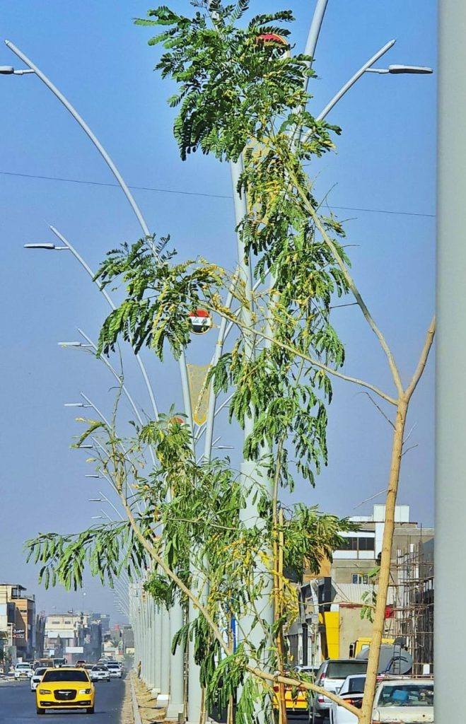 f48952d7 580f 472b 8a53 0c91fc50ece9 1