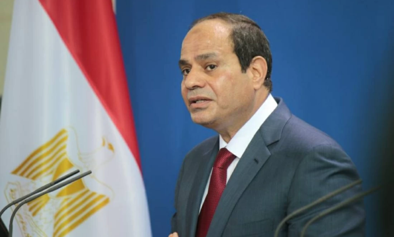 السيسي: تكلفة مشروع الدلتا الجديدة تصل إلى 800 مليار جنيه