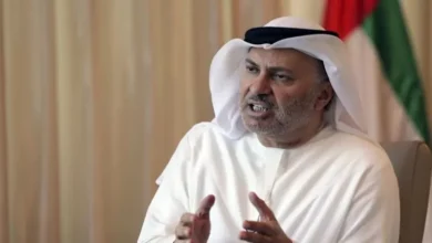 قرقاش: غياب الثقة مع إيران ومحاولاتها في مضيق هرمز غير واقعية
