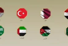 مصر و7 دول عربية وإسلامية تدين تصرفات "بن غفير" تجاه أسطول الصمود