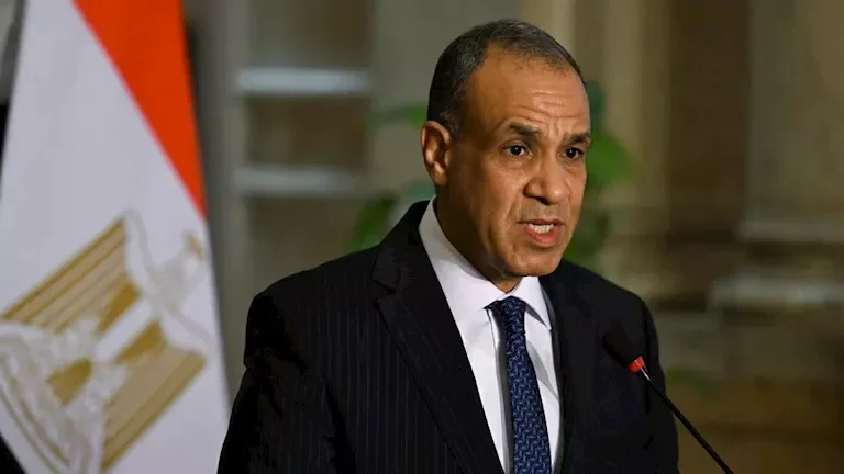مصر وتونس والجزائر تتفق على خطة لحل الأزمة الليبية
