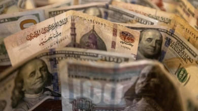 وزير البترول: مصر تحقق صفر مستحقات للأجانب بحلول 10 يونيو