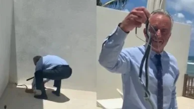 وزير الصحة الأمريكي يتفاعل مع ثعابين حية في فيديو يثير الجدل