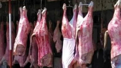 وفاة جزّار في الجيزة بعد إصابته أثناء نحر الأضحية 4 وفاة جزّار في الجيزة بعد إصابته أثناء نحر الأضحية