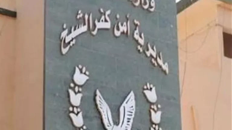 أزمة ميراث بين أشقاء في كفر الشيخ بسبب أرض زراعية