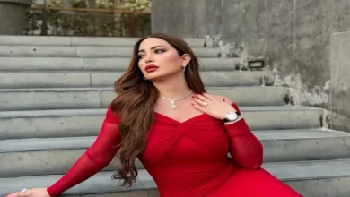 أعمال نسرين طافش الفنية البارزة بعيدًا عن الانفصال