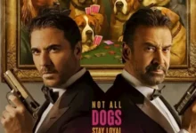 إيرادات الأربعاء: فيلم 7Dogs يتصدر وفيلم القصص في المركز الأخير 35 إيرادات الأربعاء: فيلم 7Dogs يتصدر وفيلم القصص في المركز الأخير