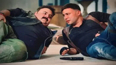 إيرادات الخميس: فيلم صقر وكناريا يتصدر والفيلم القصصي في المركز الخامس