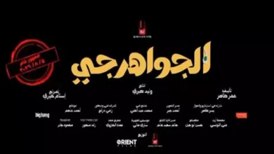 اكتشف التفاصيل الكاملة لفيلم "الجواهرجي" قبل عرضه في 2026
