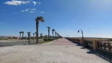 الأرصاد الجوية تكشف عن حالة الطقس المتوقعة غدًا في المناطق الحارة