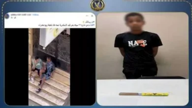 "الأمن يضبط عاملًا يمارس البلطجة واستعراض القوة في المنتزه بفضل فيديو السلاح الأبيض"