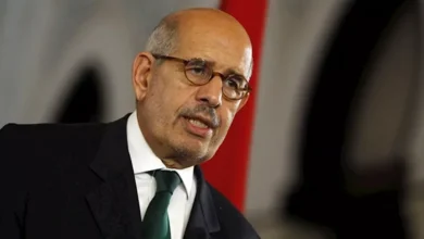 البرادعي: اتفاق ترامب مع إيران يعيدنا إلى نقطة البداية بعد الأزمات