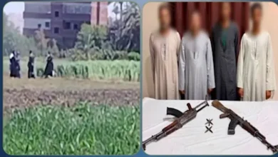 الداخلية تعلن تفاصيل مشاجرة وإطلاق نار في قنا بسبب نزاع على أرض زراعية