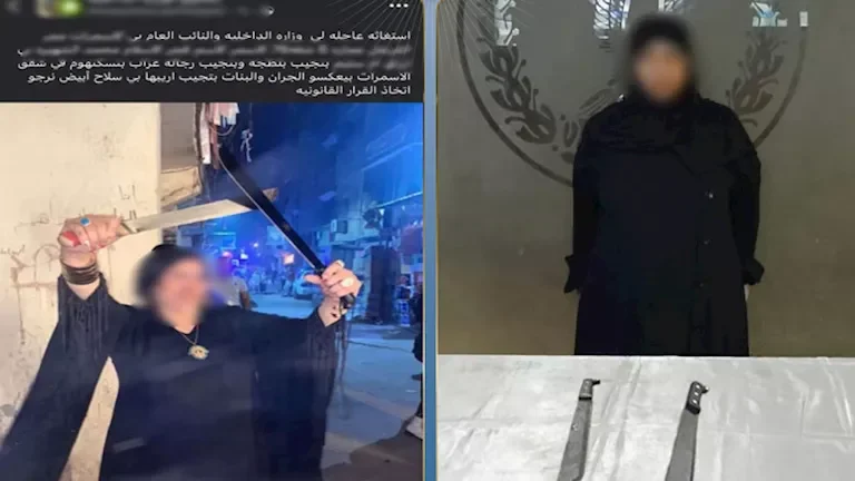 "الداخلية تكشف تفاصيل فيديو المقطم: سيدة تمارس البلطجة في الشارع"
