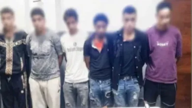 الداخلية تكشف ملابسات مشاجرة بالأسلحة البيضاء في الإسكندرية بسبب بيع الشاي