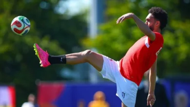 "السيسي: لا وجود لمدربين أجانب لمنتخب مصر مجددًا.. تداول فيديو يتحدث عن كرة القدم"