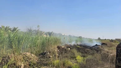 العمليات المشتركة: مسيرة صغيرة سقطت قرب مضيف رئيس البرلمان بالكرمة
