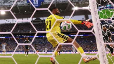 العويس: حلم التألق يتحقق للاعب السعودي 2 العويس: حلم التألق يتحقق للاعب السعودي