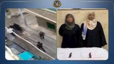 القبض على سيدتين بتهمة الاعتداء على نجار بأسلحة بيضاء في دمنهور بسبب لعب الأطفال