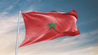المغرب يستقطب 6 مليارات دولار من الصين وزيادة 215% بمبيعات السيارات