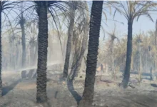 اندلاع حريق في سكن عمال مزرعة سفير سابق على طريق "صحراوي الشيخ زايد"