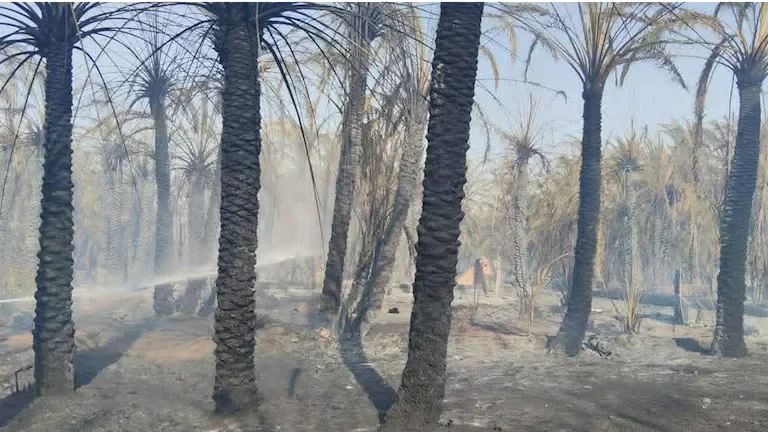اندلاع حريق في سكن عمال مزرعة سفير سابق على طريق "صحراوي الشيخ زايد"
