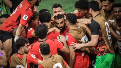"بالفيديو.. نجم الجزائر السابق: توقعات حول منتخب مصر وصعوبات في تجاوز ربع النهائي أمام الصف الثاني"