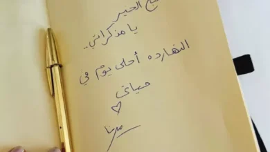بعد زواجها من أحمد السعدني: ميرنا الهلباوي تصف "أحلى يوم في حياتي"