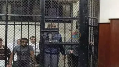 تأجيل استئناف قضية المتهمة بقتل الطفلة ساجدة بعد اختطافها وإغراقها في "طشت غسيل" باستخدام تفاحة