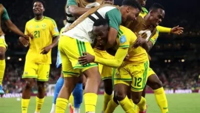 تحديد مواعيد وأماكن مواجهات المكسيك وجنوب إفريقيا في الأدوار الإقصائية