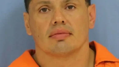 تمساح يوقف «مطاردة هوليوودية» لسائق تحت تأثير الكحول! 5 تمساح يوقف «مطاردة هوليوودية» لسائق تحت تأثير الكحول!