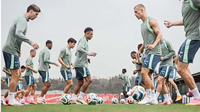 ثعابين سامة تهدد معسكر منتخب سويسرا قبل كأس العالم 2026 1 ثعابين سامة تهدد معسكر منتخب سويسرا قبل كأس العالم 2026