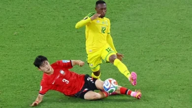 جنوب أفريقيا تتقدم على كوريا الجنوبية 1-0 في كأس العالم 2026