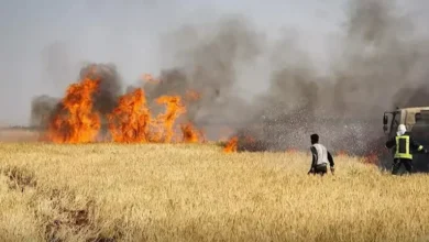 حريق كبير يدمر أراضٍ زراعية في دير الزور بسوريا 5 حريق كبير يدمر أراضٍ زراعية في دير الزور بسوريا