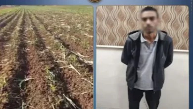 خلاف حول فسخ عقد إيجار يؤدي إلى إتلاف محصول زراعي في البحيرة 2 خلاف حول فسخ عقد إيجار يؤدي إلى إتلاف محصول زراعي في البحيرة