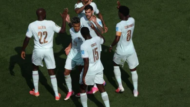 "زلاتان يستسلم وفرنسا تُرعب ألمانيا!"