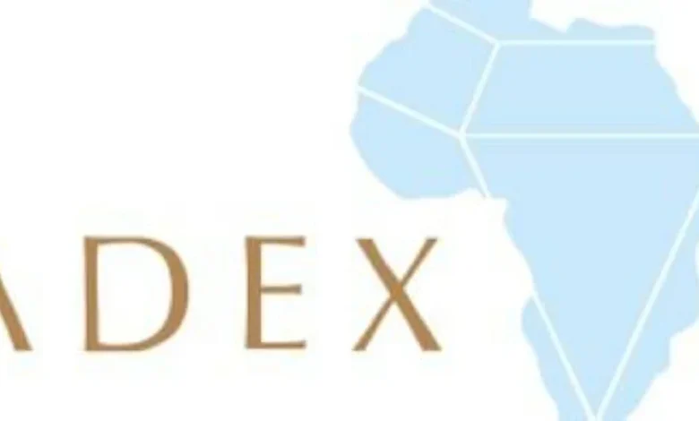 شراكة بين الكونغو الديمقراطية وسويسرا لتسويق الألماس رقميًا