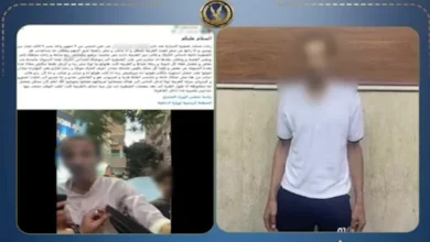 ضبط صاحب ورشة في عين شمس بعد اعتدائه على مهندس بسبب خلاف على صيانة سيارة | فيديو