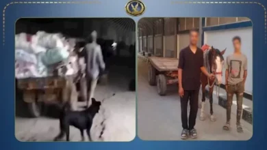 ضبط عاطلين حولوا شارع المرج إلى مقلب قمامة بعد انتشار فيديو يثير الغضب