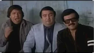 طلعت زكريا ووحيد سيف يتألقان كمدربين في عالم الفن العراقي