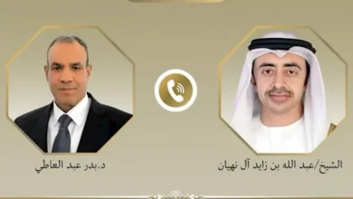 عبد العاطي ونظيره الإماراتي يؤكدان دعم أمن الملاحة وتهدئة التوترات
