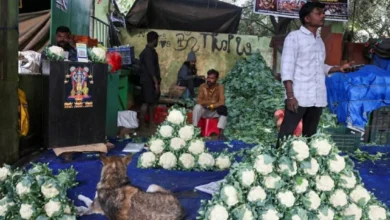 فاتورة حرب إيران تؤثر سلباً على ميزانية الهند واحتياطيات النفط