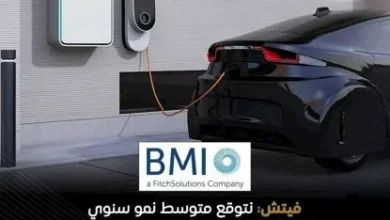 فيتش: مصر تسعى لإنتاج 100 ألف سيارة سنويًا وتقترب من تحقيق الريادة الإقليمية