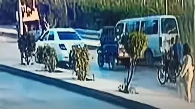 قرار قضائي بشأن السائق المتهم بدهس أسرة على كورنيش النيل في المعصرة