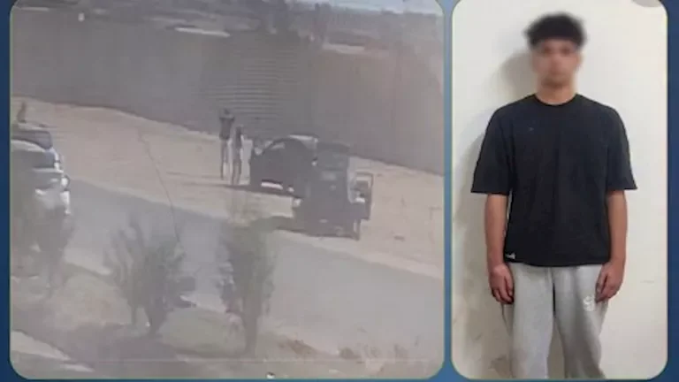 قرارات النيابة العامة بشأن حادث دهس بائعة الشاي هدير: النص الكامل والتفاصيل