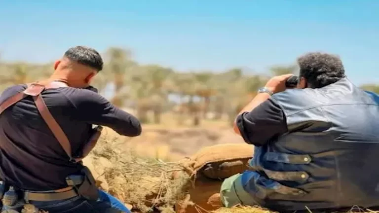 كل ما تحتاج معرفته عن فيلم "صقر وكناريا" قبل عرضه في السينما