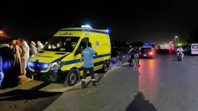 مأساة في المنوفية: شقيقان يفارقان الحياة في تصادم مروع