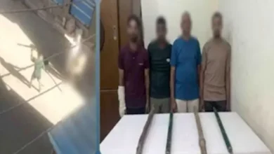 مشاجرة بالعصي الخشبية في البحيرة: فيديو يكشف تفاصيل الحادثة