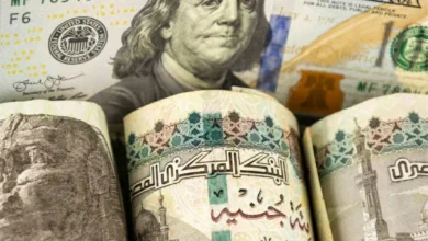 مصر: ارتفاع الاحتياطي النقدي الأجنبي إلى 53.134 مليار دولار في مايو