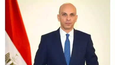 مصر تؤكد استعدادها التام لدعم دول الخليج في مواجهة التهديدات الأمنية